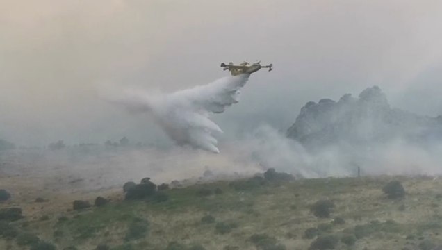 Carini (PA) - Incendio boschivo in zona Villagrazia (15.06.20)