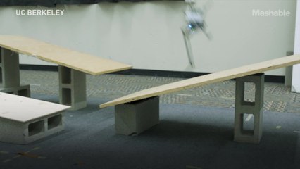 This teeny robot leaps like a frog, but lands like a world-class gymnast