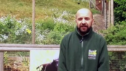 Dudley Zoo Re-opens!