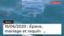 Épave, mariage, requin … Cinq infos bretonnes du 15 juin