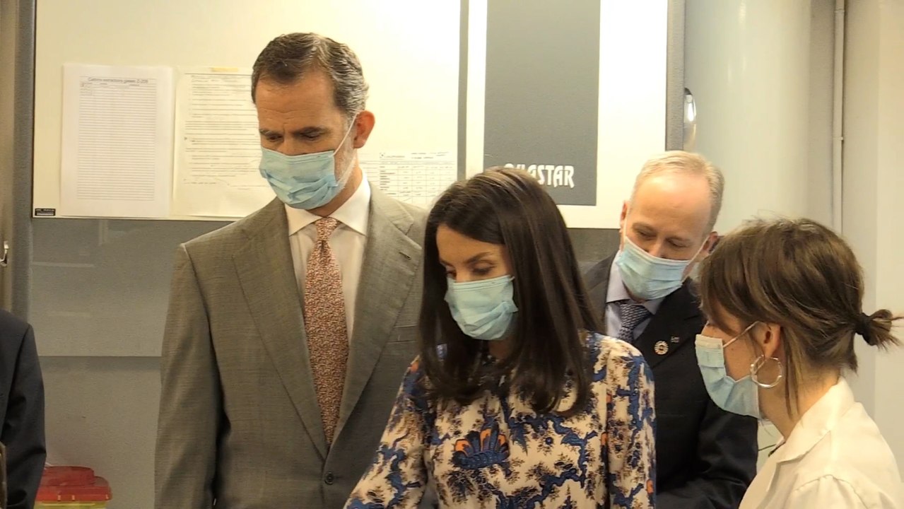 La reina Letizia nos conquista con su vestido más romántico