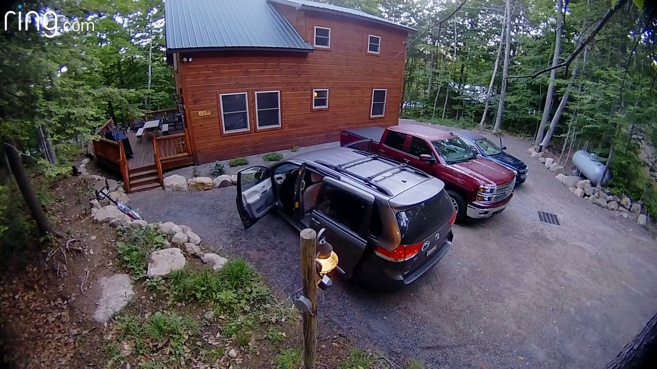 Cet ours à la recherche de nourriture rentre dans une voiture