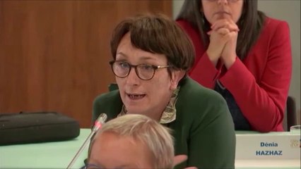 Céline TONOT. Rapport d'information sur la protection des Côte-d'Oriens (masques). Session du 15 juin 2020