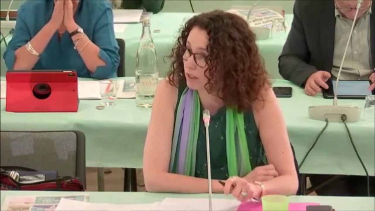 Sandrine HILY. Soutien aux acteurs du commerce, de l'artisanat et de l'agriculture. Session du 15 juin 2020