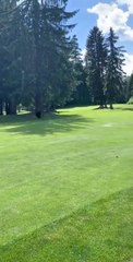 Ce qu'il aperçoit sur le green de golf est incroyable... Un ours qui poursuit un loup