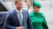 Meghan Markle and Prince Harry Are Postponing the Launch of Their New Charity