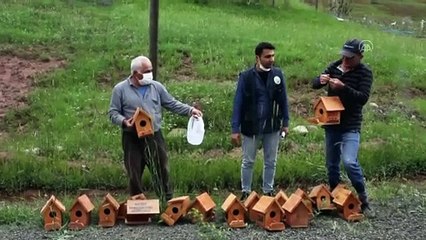 Tırtılla mücadele için doğaya kuş yuvaları yerleştirildi - SİVAS