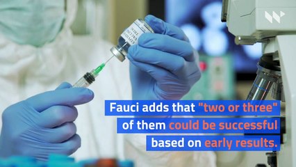 Dr. Fauci Says UK Travel Ban Could Be in Effect for Months
