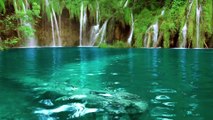 Relaxing Jungle Waterfall - Relaxing Zen Nature Sounds, Soothing sounds , Peaceful Ambiance For Meditation , Deep Sleep , Insomnia , Relaxation , Destress , Spa , Yoga , Study , Mindfulness.