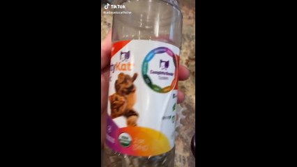 tik toks cat funny #3