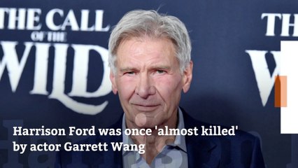 Harrison Ford's Near Death Experience