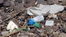 Bodrum'da deniz dibi ve kıyı temizliği yapıldı - MUĞLA