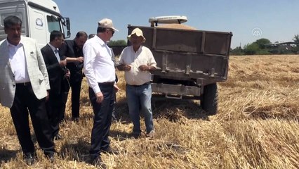 TMO Genel Müdürü Ahmet Güldal: "Hububat ödemelerini bugün başlatıyoruz" - HATAY