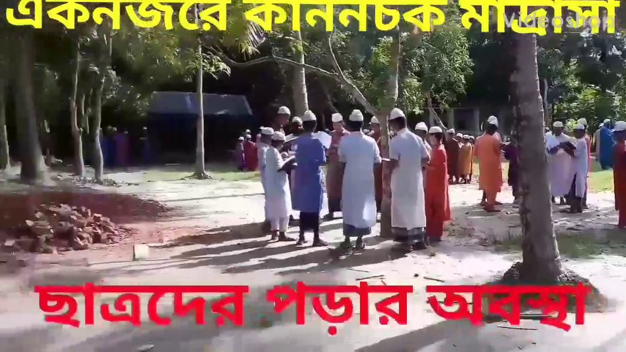 The house of the Qur'an teaches Islam QURAN কাননচক কলাতলা মাদ্রাসা