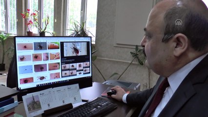 KKKA aşısında insanlar üzerinde denemeler başlayacak - SİVAS