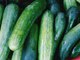 Wait, Is Zucchini a Fruit or Vegetable?
