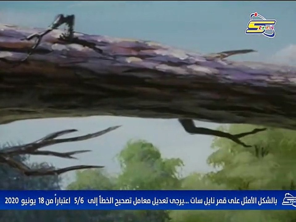 سيف الصاعقة الحلقة 12