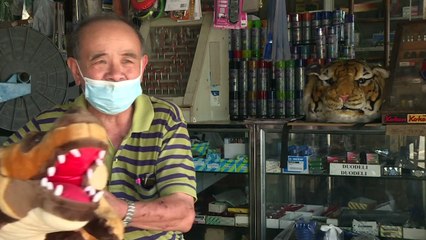 Autoridades tailandesas intentan recuperar el control de "la ciudad de los monos"