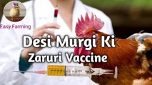 Desi murgi ki zaruri vaccine | vaccine in desi poultry| मुर्गियो का टीकाकरण