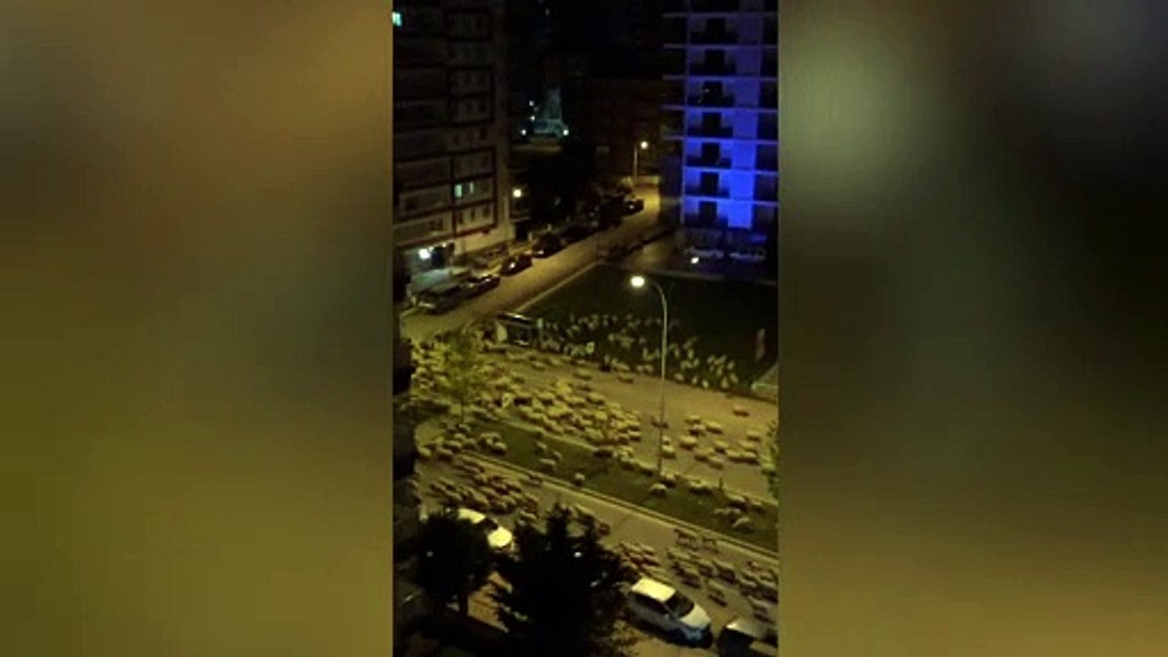 Sheep Walk Through Empty Streets During Lockdown