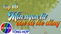 Tinh hoa bếp Việt: Ẩm thực đồng quê - Tập 16 - Món ngon từ con cá lóc đồng