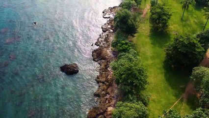 beautiful wonders of nature with instrumental golden cover of music