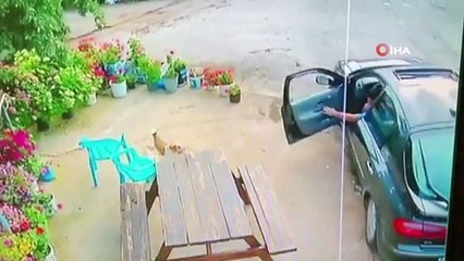 Sevecekmiş gibi yanına çağırdığı sevimli hayvanı böyle çaldı