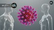 El Virus Nipah preocupa a la OMS: es más mortal que el coronavirus y no tiene cura