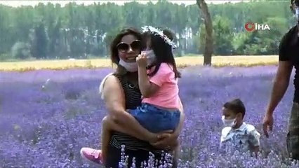 Gören tarlaya akın ediyor