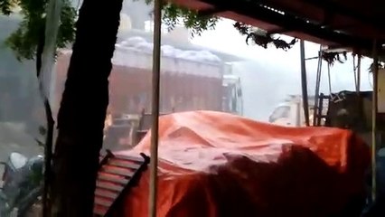 तेज बारिश से हाईटेशन लाइट के खंभे व कई पेड़ गिरे