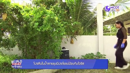 world today 15 มิ.ย. 63: โปรตีนในน้ำลายยุงมีประโยชน์ป้องกันไวรัส