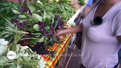 Guyane : Le village Hmong de Cacao