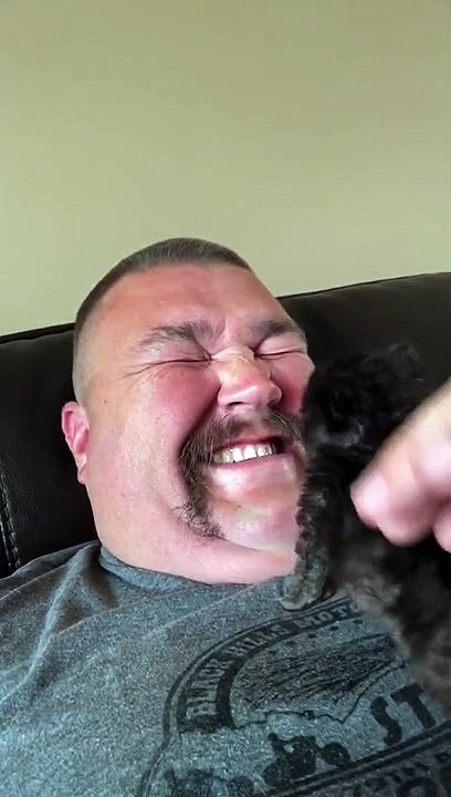 Ferociously Cute Kitten