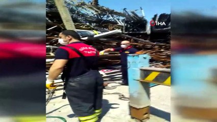 Elektrik direğinin içinde sıkışan minik kedi uzun uğraşlar sonucu kurtarıldı