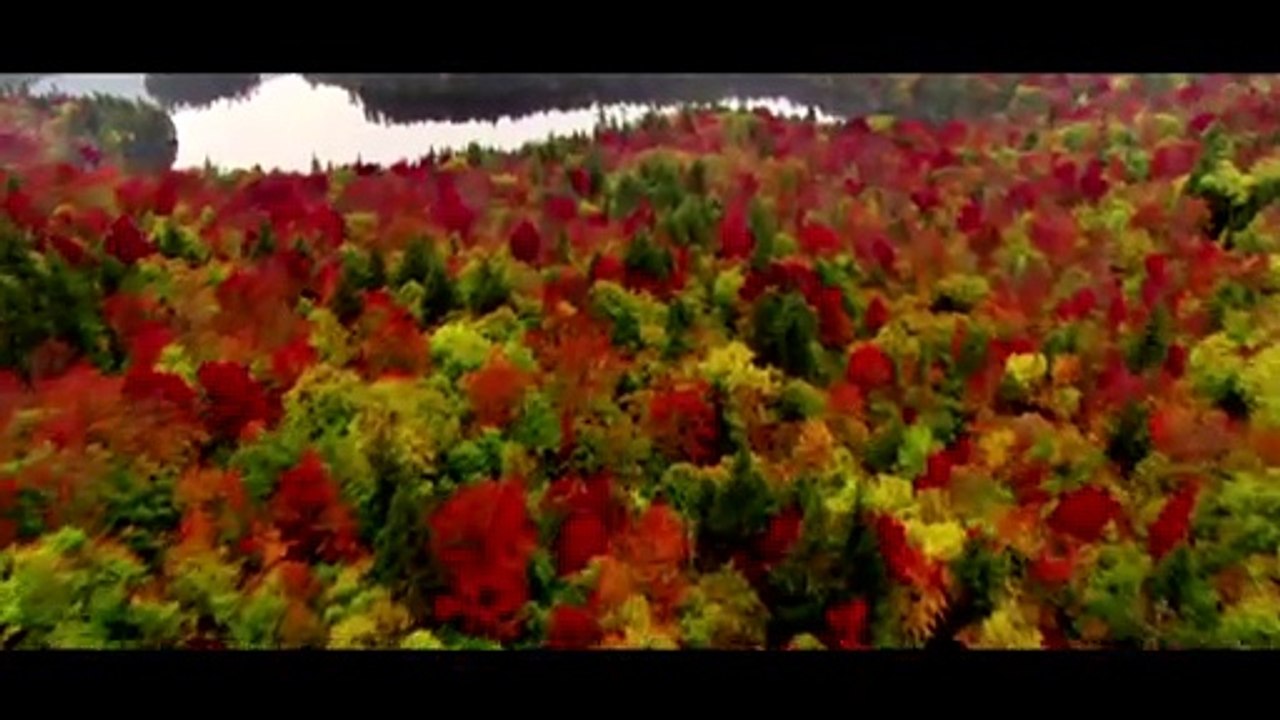 Moustafa Yazan - Lek we Leya - مصطفي يزن ليك و ليا