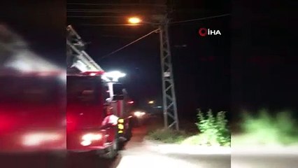 Anneleri ölen yavru baykuşlar hiç susmayınca kurtarıldılar!