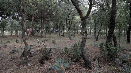 99 yıllık acı… Mezarları tespit edildi