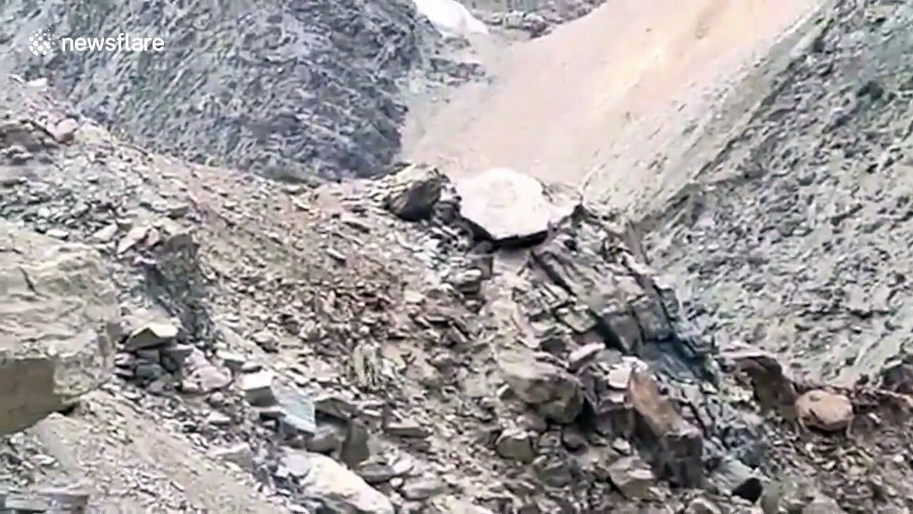 Rare footage shows elusive snow leopard scale mountain in northern India