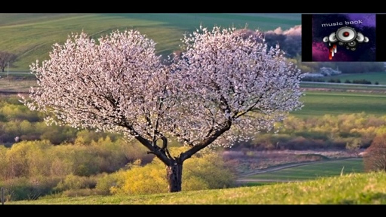 classical music 3