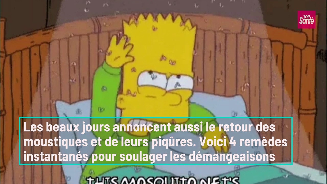 4 remèdes naturels contre les piqûres de moustiques