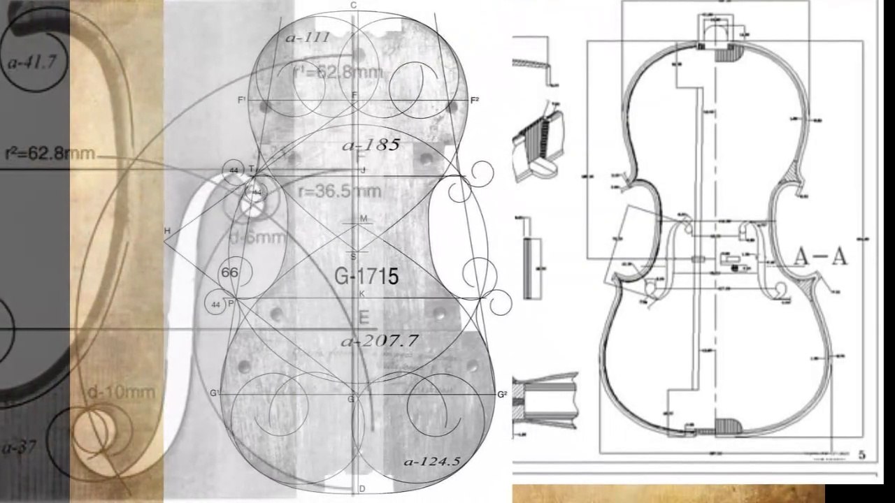 Os movimentos do arco do violino - Os 6 movimentos básicos do membro superior direito
