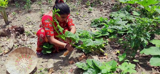 Pui Chingri Village Cooking Recipe By Villcooking