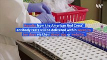 American Red Cross to Test Blood Donations for COVID-19 Antibodies
