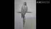 How to draw parrot | Charcoal pencil Shading | Step by step For beginners