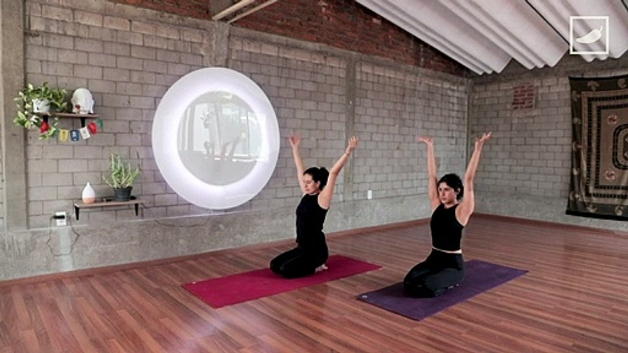 Clase de Yoga #EnCasa XI