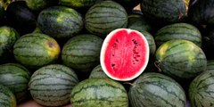 How to Pick a Watermelon and More Juicy Facts about This Summertime Favorite