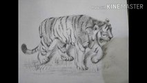 How to draw tiger | Charcoal pencil Shading | step by step For beginners