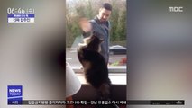 [이슈톡] 출근하는 주인에게 손 인사하는 고양이