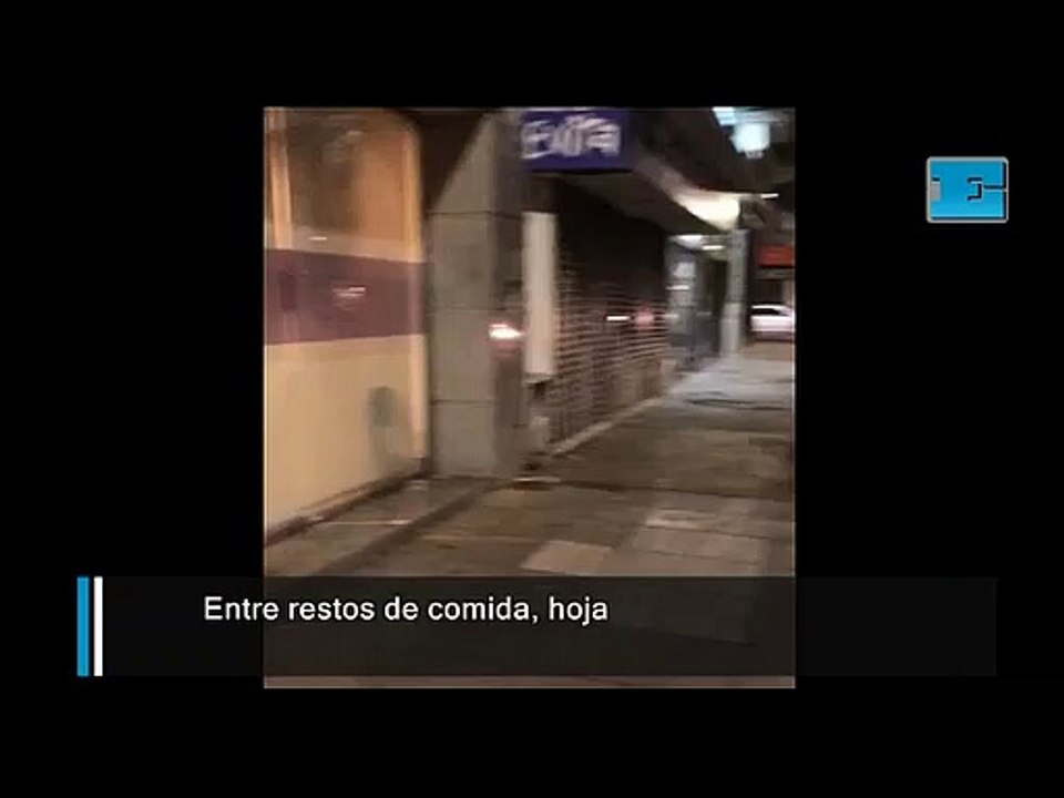 Entre restos de comida, hojas y basura, hallan  un murciélago en un cajero del centro platense