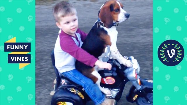 TRY NOT TO LAUGH - KIDS FAILS Vines & Cute BABIES _ Funny Videos January 2019